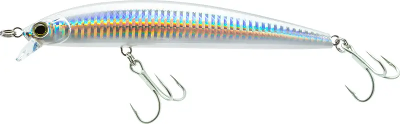 Lure Fishing Hard Bait: Minnow – Detailed Guide with Photos & Videos