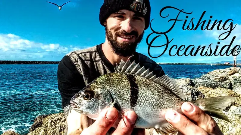 Oceanside Sportfishing: Why This Is Your Best Bet for SoCal Offshore Action